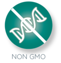 GMO-Free