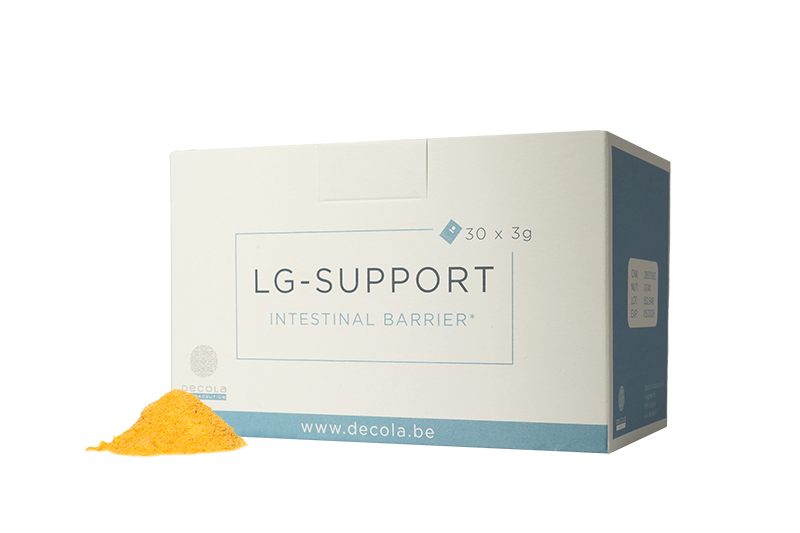 LG-SUPPORT
