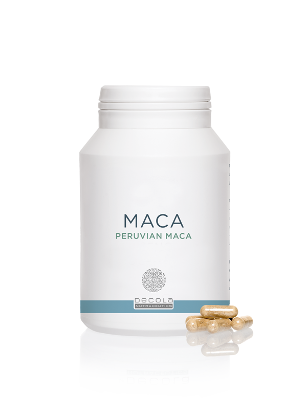 MACA